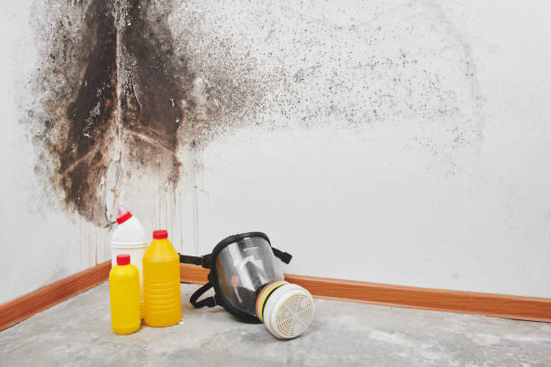 Best Residential Mold Removal  in Redan, GA