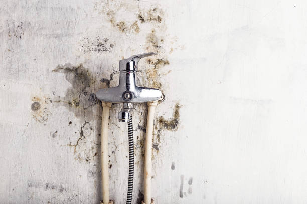 Best Mold Cleaning Services  in Redan, GA