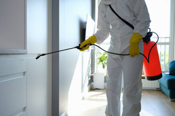 Office Mold Removal Services in Redan, GA
